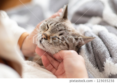 hold a cat 123035238