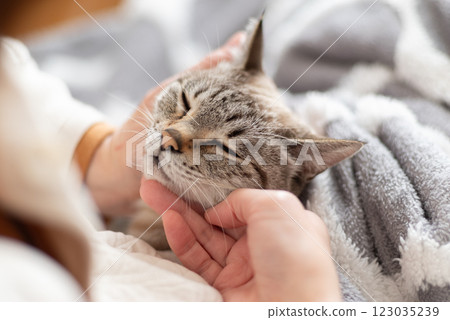hold a cat 123035239