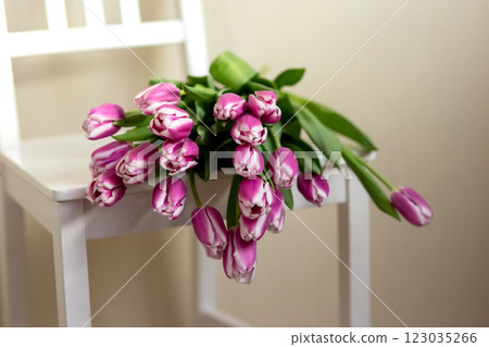 Purple tulips lie on a white chair, in a room Purple tulips lie on a white chair, in a room 123035266