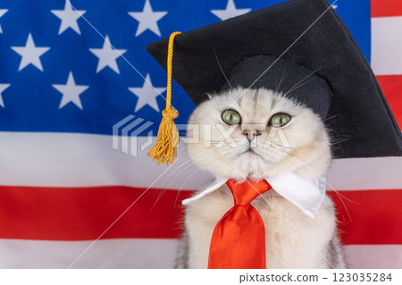 Cat in graduation cap with tie in front of american flag 123035284