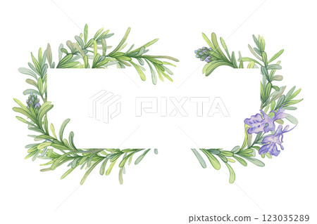 Frame of branches of blooming rosemary. Watercolor illustration of fresh green stems. Composition suitable for decorating covers of cosmetics, essential oils, and other natural products 123035289