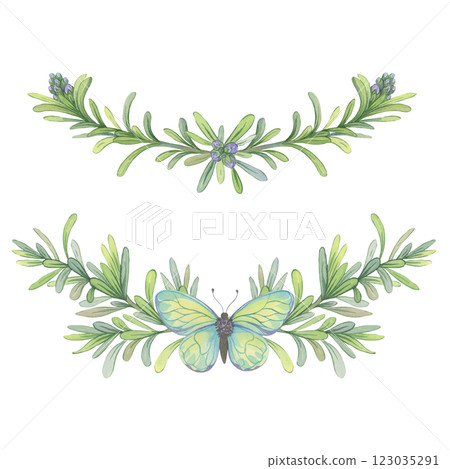 Watercolor composition of Rosemary branches with butterfly. Illustration of springs perfect for decorating packaging of cosmetics, natural products, essential oils, soap and herbal-themed designs 123035291