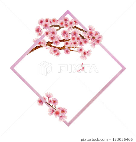 Rhombus frame with sakura flowers isolated on white background. Spring blooming cherry blossom flowers for Hanami. Shades of pink, lilac, purple petals. Watercolor template for card, poster, web page 123036466