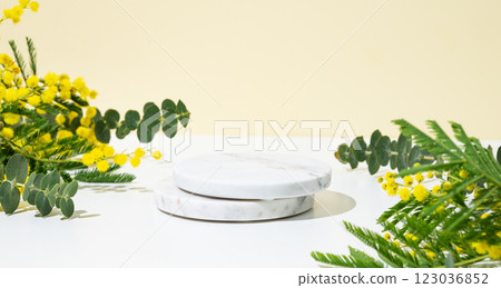 Marble podium or stand with mimosa or acacia branches on yellow white background with sunlight. 123036852