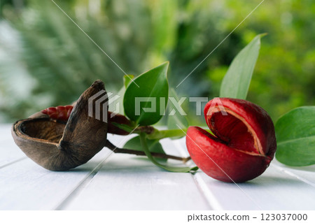 Cosmetic ingredients are showcased with a pipette and bottle, surrounded by a decorative pattern. 123037000