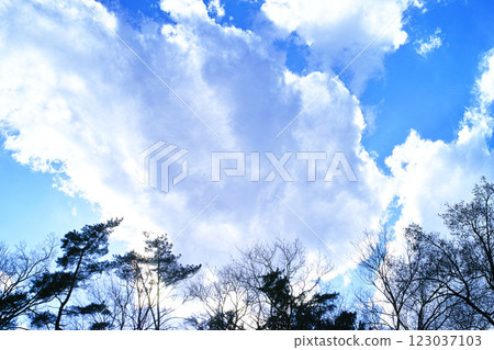 藍色的天空和雲圖像 123037103