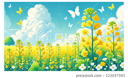 Landscape illustration with rapeseed field Landscape illustration with rapeseed field 123037393