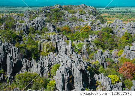 Madagascar Tsingy National Park 123037573