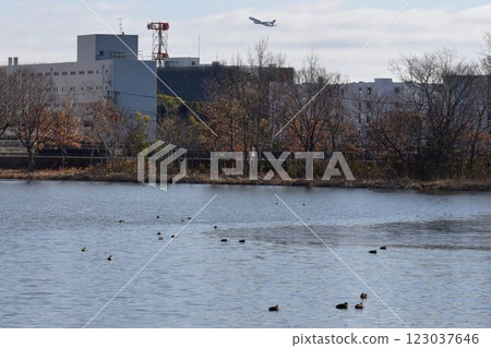 Directly below the takeoff course at Osaka Itami Airport, the Japanese archipelago is a landmark, with planes and wild birds flying around, at Itami Konyoike Park, an urban oasis 123037646