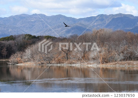 位於大阪伊丹機場起飛路線正下方的日本列島是地標，飛機和野鳥在伊丹紺陽池公園飛翔，這裡是一座城市綠洲 123037650
