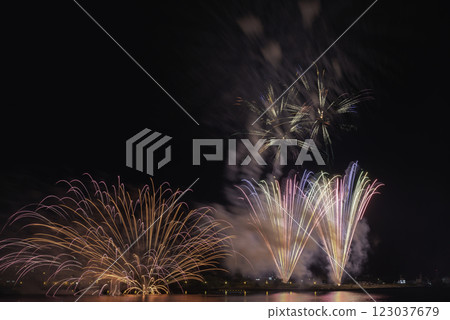 開花在夜空的煙花 開花在夜空的煙花 123037679