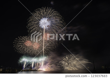 Fireworks blooming in the night sky Fireworks blooming in the night sky 123037683