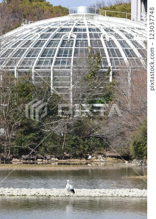 位於大阪伊丹機場起飛路線正下方的日本列島是地標,飛機和野鳥在伊丹紺陽池公園飛翔,這裡是一座城市綠洲 位於大阪伊丹機場起飛路線正下方的日本列島是地標,飛機和野鳥在伊丹紺陽池公園飛翔,這裡是一座城市綠洲 123037748