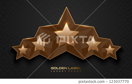 Gold glossy 5 star top rank logo badge frame. Luxury polygonal stone sign, golden rim border, black background. Abstract vector premium achievement five star glass icon. Reflection gold light effect 123037770