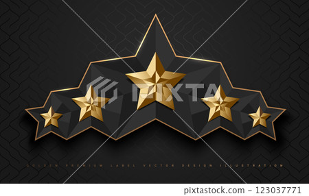 Gold glossy 5 star top rank logo badge frame. Luxury polygonal stone sign, golden rim border, black background. Abstract vector premium achievement five star glass icon. Reflection gold light effect 123037771