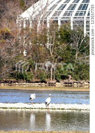 位於大阪伊丹機場起飛路線正下方的日本列島是地標，飛機和野鳥在伊丹紺陽池公園飛翔，這裡是一座城市綠洲 123037785