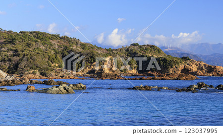 Winter in Tsumekizaki, Shimoda City 123037995