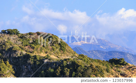 Winter in Tsumekizaki, Shimoda City 123037996