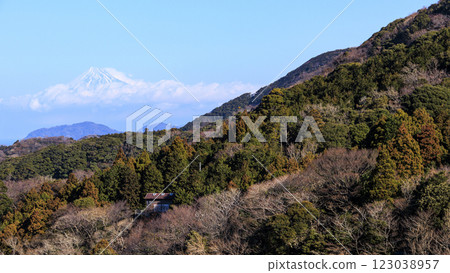 冬天的石部梯田，可以眺望富士山 123038957