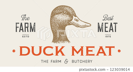 Duck, mallard sketch. Hand drawn sketch. Meat tag, food label template. Vintage retro print, black white Duck, mallard drake drawing. Silhouette duck, mallard drake. Vector Illustration 123039014