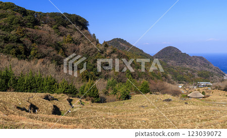 Winter at Ishibe rice terraces 123039072