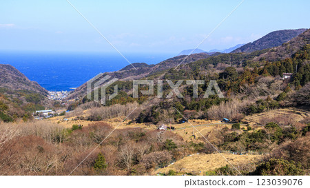Winter at Ishibe rice terraces Winter at Ishibe rice terraces 123039076