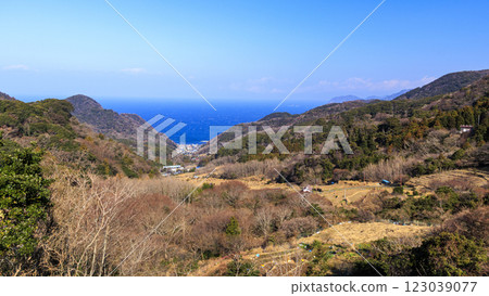 Winter at Ishibe rice terraces 123039077