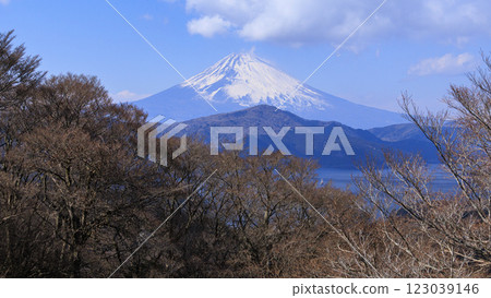 Mount Fuji and Lake Ashi as seen from Mount Daikanzan in Hakone Mount Fuji and Lake Ashi as seen from Mount Daikanzan in Hakone 123039146