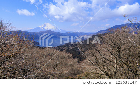 Mount Fuji and Lake Ashi as seen from Mount Daikanzan in Hakone 123039147