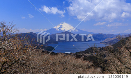 從箱根大官山眺望富士山和蘆之湖 123039149