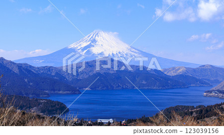 從箱根大官山眺望富士山和蘆之湖 123039156