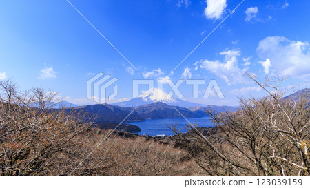Mount Fuji and Lake Ashi as seen from Mount Daikanzan in Hakone 123039159