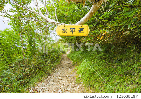 Horizontal road of Kashiwara New Road Horizontal road of Kashiwara New Road 123039187