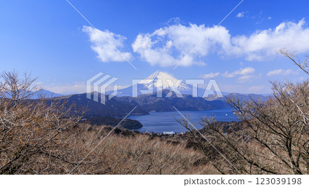 Mount Fuji and Lake Ashi as seen from Mount Daikanzan in Hakone 123039198