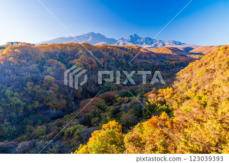 [Yamanashi Prefecture] View of the Yatsugatake Mountains with beautiful autumn foliage from the Yatsugatake Kogen Ohashi Observatory 123039393