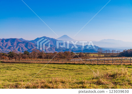 [Kiyosato, Yamanashi Prefecture] View of Mt. Fuji from Seisenryo Ranch 123039630