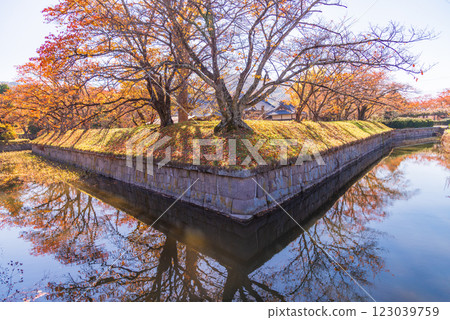 [Nagano Prefecture] Tatsuoka Goryokaku in autumn 123039759