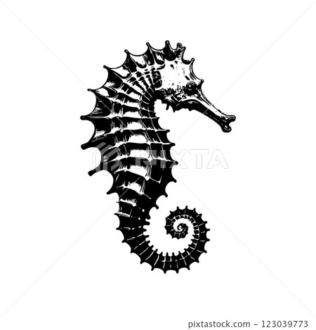 Vector of seahorse illustration featuring intricate scale patterns and signature curled tail, perfect for marine-themed designs. 123039773