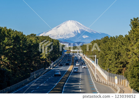 Road leading to Mount Fuji 123039852