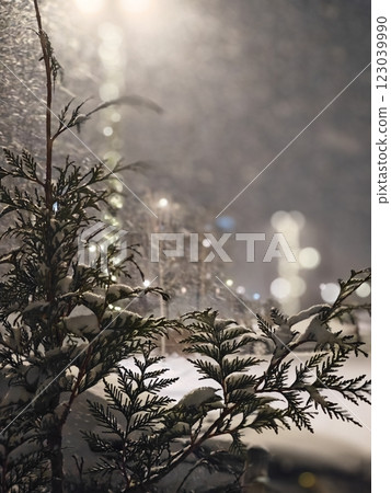 winter landscape with the sun 123039990
