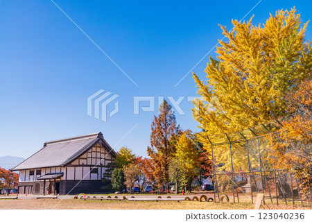 [Nagano Prefecture] Tatsuoka Castle Goryokaku in autumn 123040236