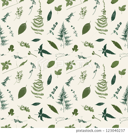 Seamless pattern with dried green leaves and flowers on white background 123040237