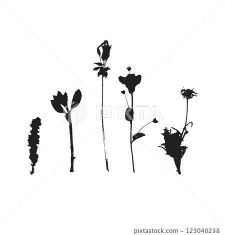 Rough edges dried floral sinlouettes set 123040238