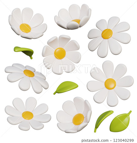 White daisy flower with leaves 3D graphic 123040299