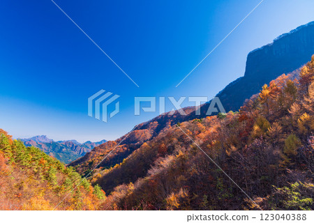 [Nagano/Gunma Prefecture] Autumn leaves on Mt. Arafune 123040388