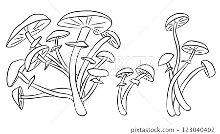 Poisonous Mushrooms Sketch, Vector Natural Ingredients, Vegetarian Food Line Illustration 123040402