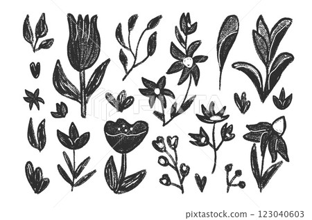 Hand drawn flowers and leaves set. Charcoal linocut poppy, tulip, daisy doodle monochrome. Floral chamomile and marguerite kids chalk style shape. Vector black pencil illustration on white background. 123040603