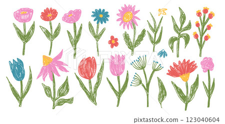 Flowers crayon drawn set. Spring tulip, daisy, aster and marguerite plants doodle set. Pastel childish floral shape. Vector pencil illustration isolated on white background Flowers crayon drawn set. Spring tulip, daisy, aster and marguerite plants doodle set. Pastel childish floral shape. Vector pencil illustration isolated on white background 123040604