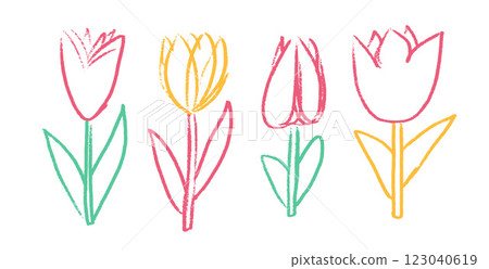 Tulip line flowers crayon drawn set. Spring crocus plants doodle. Summer floral kids elements. Chalk or pastel style childish shape. Vector naive pencil illustration isolated on white background. Tulip line flowers crayon drawn set. Spring crocus plants doodle. Summer floral kids elements. Chalk or pastel style childish shape. Vector naive pencil illustration isolated on white background. 123040619