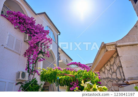 Close-up of modern apartment building with white walls, lush pink bougainvillea and greenery against bright blue sky. Abstract view of residential building in coastal town 123041197